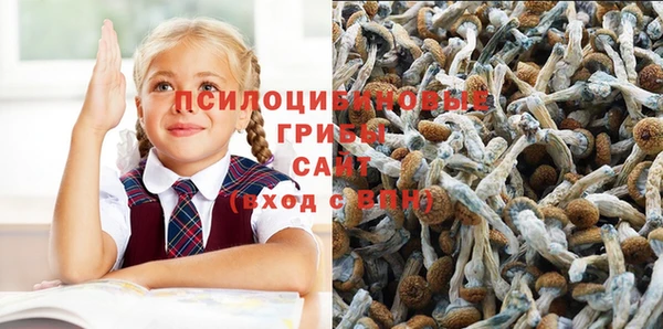 mdpv Сосновка